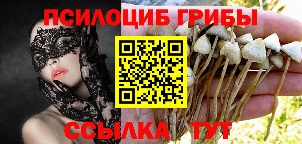 Псилоцибиновые грибы Magic Shrooms  купить закладку  Надым  Вход с VPN 