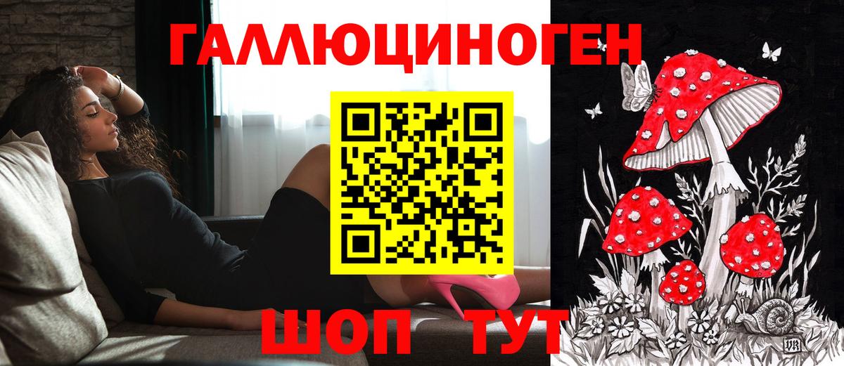 Галлюциногенные грибы Psilocybe Надым